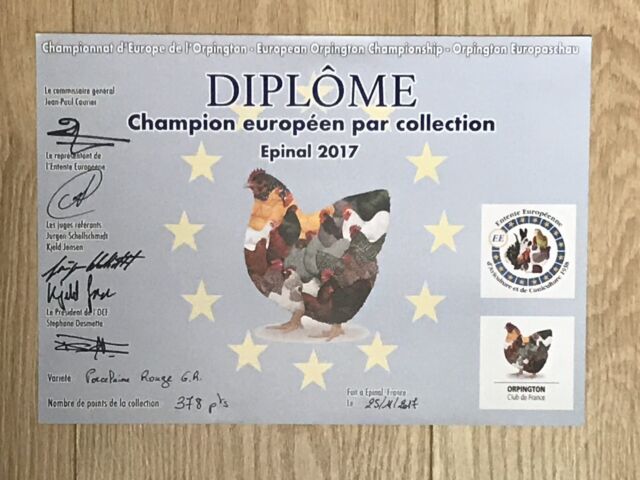 5. Rassenbezogene Europaschau Epinal/Frankreich 2017 - Europameister auf Orpington braun-porzellanfarbig